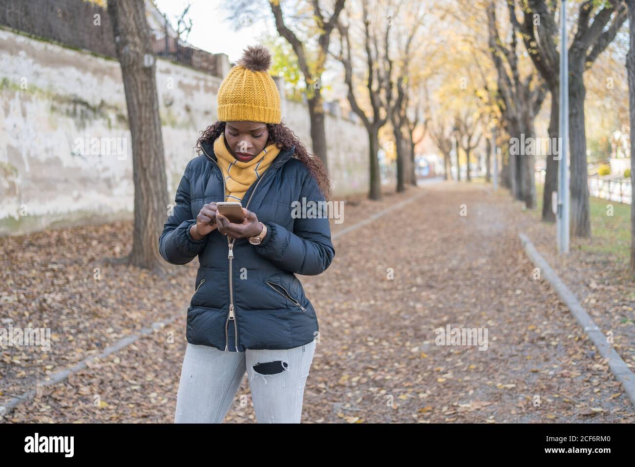 Afroamerikanische Frau in gelbem Hut und warmer Jacke mit Smartphone unterwegs mit Herbstblättern im Park Stockfoto