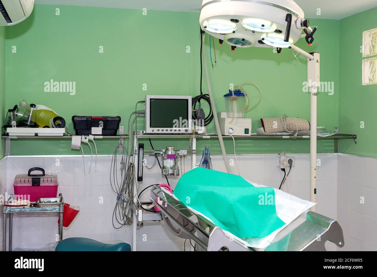 Gesichtsloses Haustier mit grünem Blatt bedeckt, das auf dem Operationstisch liegt In ausgerüsteten Operationssaal der Tierklinik Stockfoto
