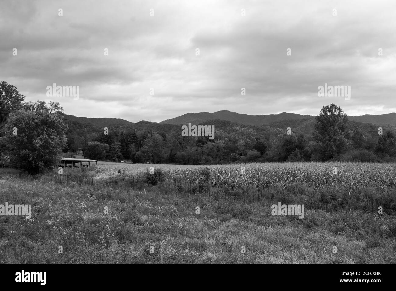 Eine Schwarz-Weiß-Aufnahme der Landschaft in Andrews, North Carolina. Stockfoto