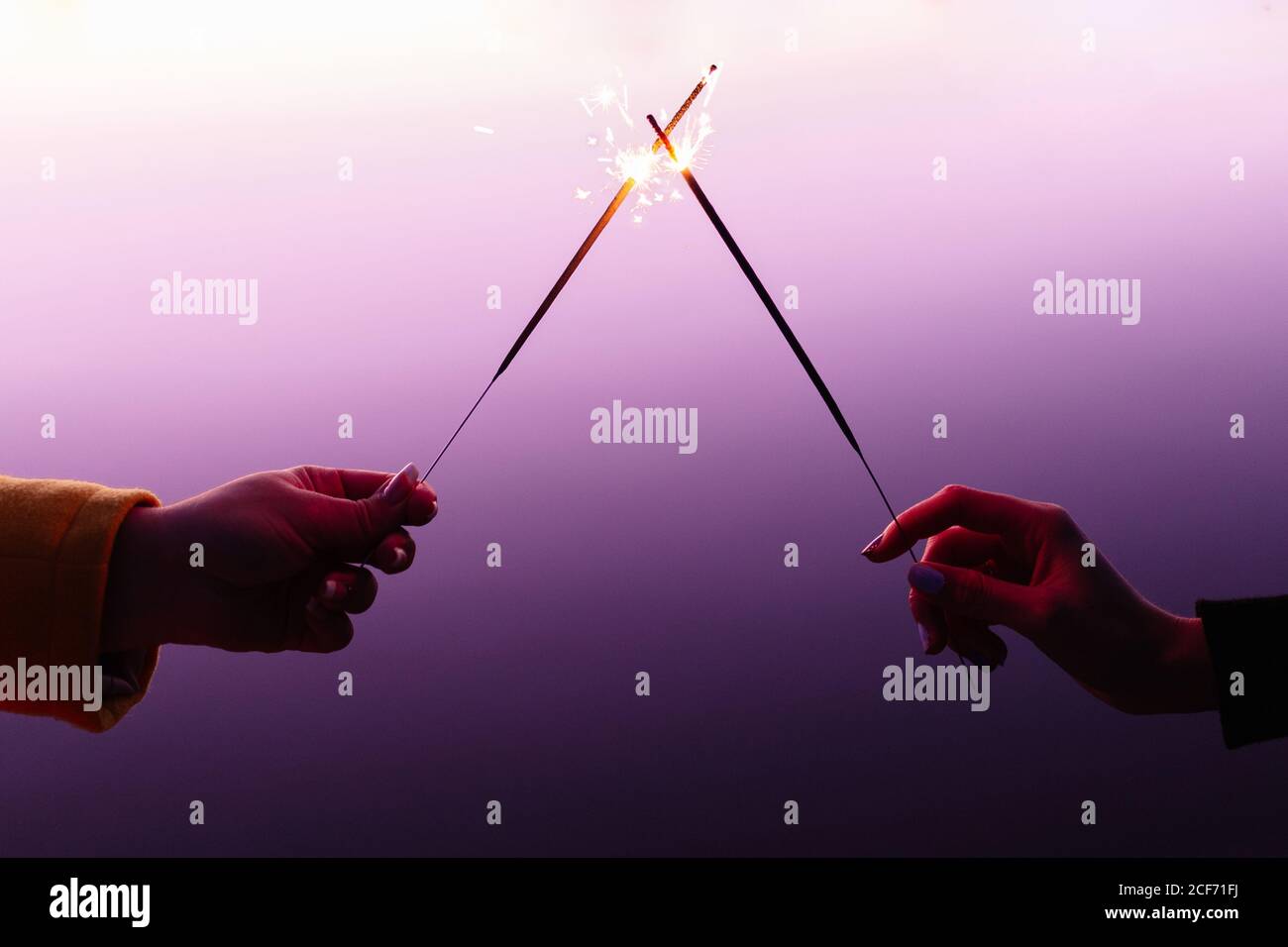 Crop weibliche Hände vor einander halten brennend Wunderkerzen auf bunt violettem Hintergrund Stockfoto