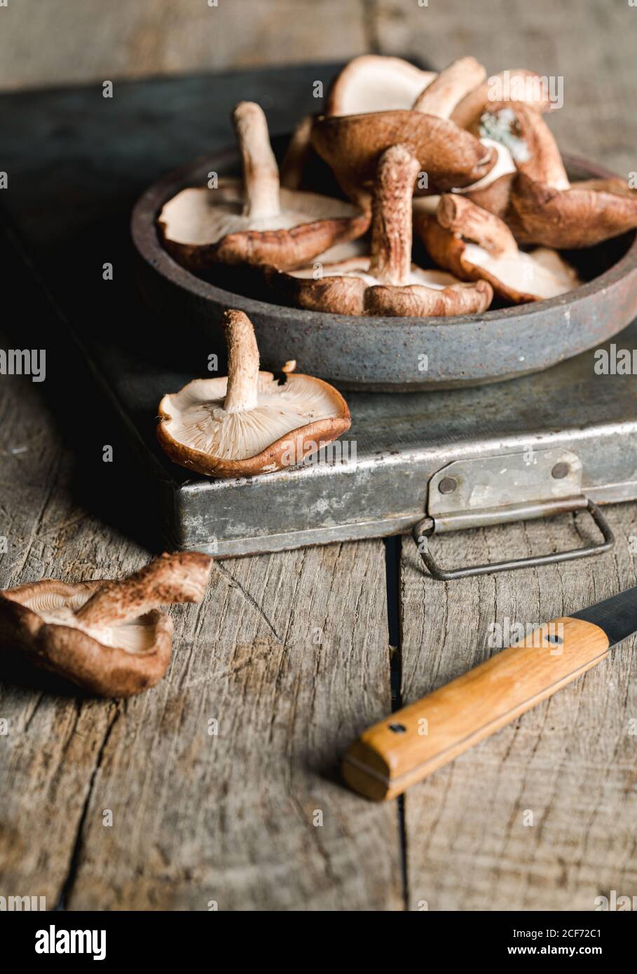 Haufen von frischen braunen Pilzen auf rustikalem Holztisch Stockfoto
