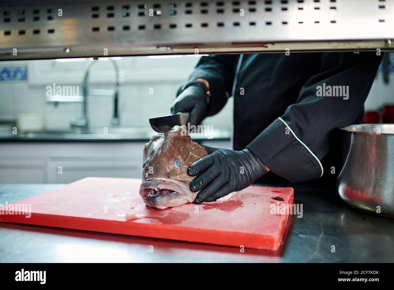Unkenntlich garen in schwarzer Uniform und Handschuhe mit Metallspalter Beim Schneiden Kopf von großen frischen Fisch auf rot gehackt Tafel am Tisch gegen verschwommenes Interieur der modernen Küche Stockfoto