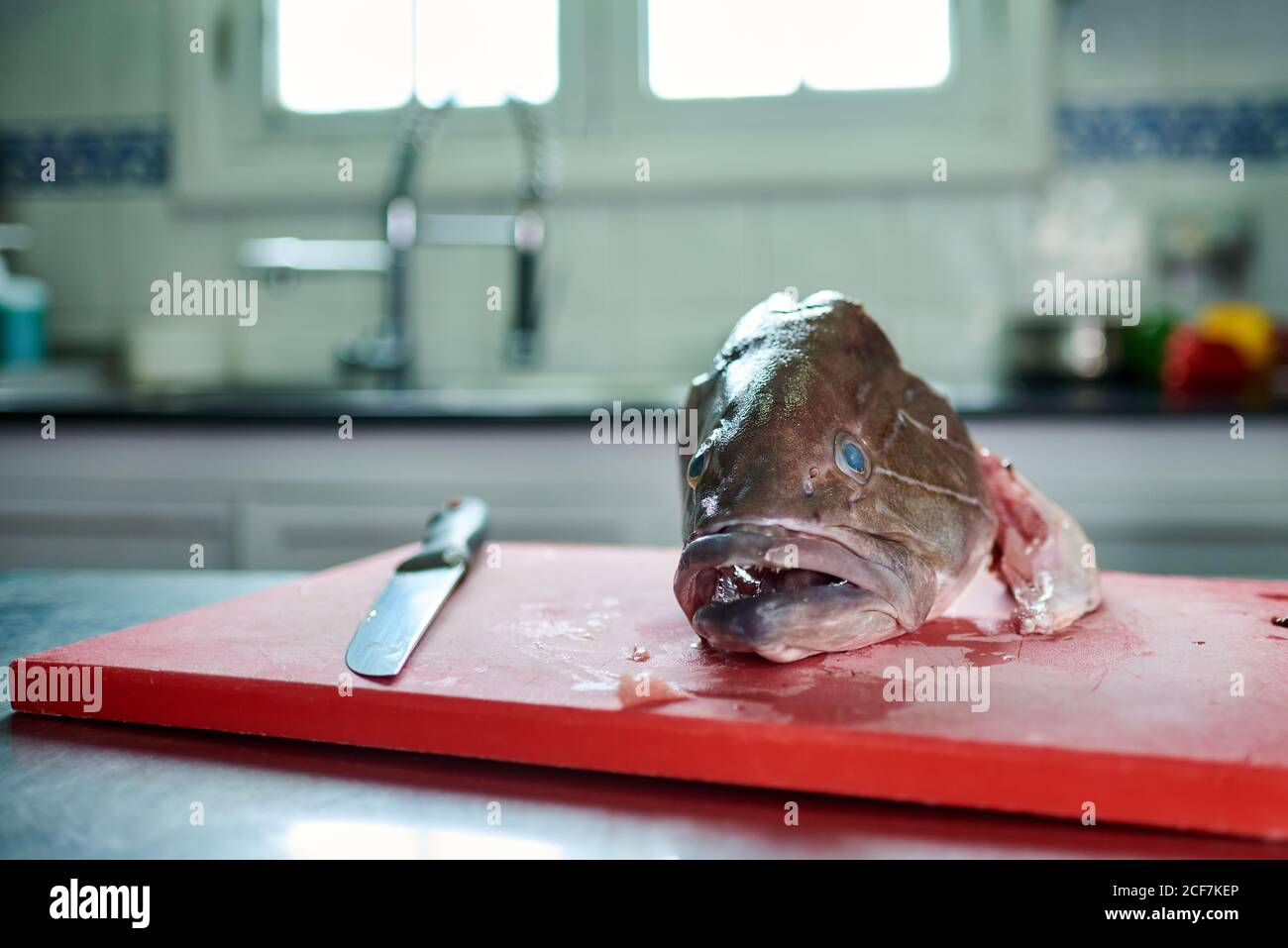 Großer frischer Fisch auf rot gehacktem Brett neben Metallmesser Auf dem Tisch gegen verschwommenes Interieur der modernen Küche zu Hause Stockfoto
