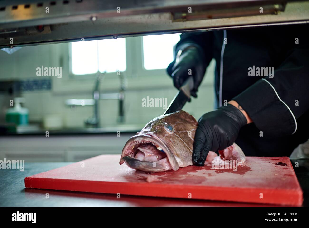 Unkenntlich garen in schwarzer Uniform und Handschuhe mit Metallspalter Beim Schneiden Kopf von großen frischen Fisch auf rot gehackt Tafel am Tisch gegen verschwommenes Interieur der modernen Küche Stockfoto