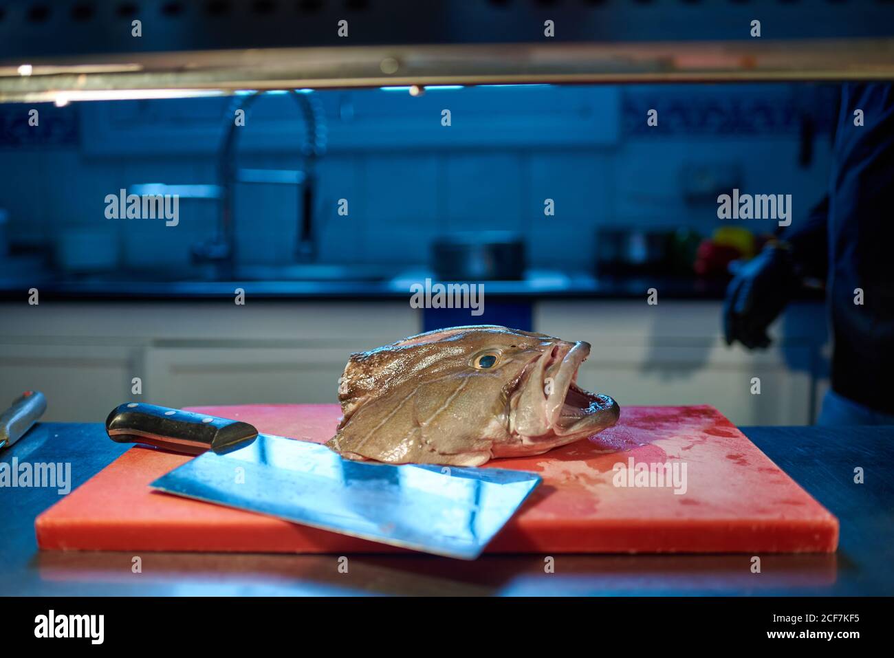 Großer frischer Fisch auf rot gehacktem Brett neben Metallmesser Auf dem Tisch gegen verschwommenes Interieur der modernen Küche zu Hause Stockfoto