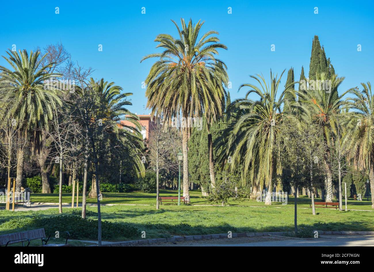 Stadtpark in Valencia Stockfoto