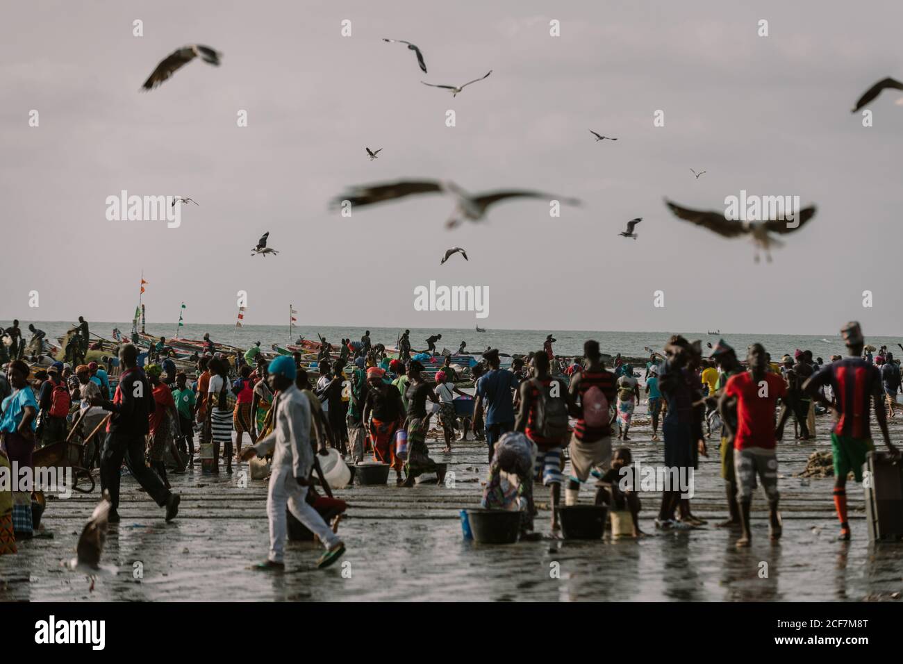 Gambia, Afrika - 3. August 2019: Überfüllter Strand der Atlantikküste während der geschäftigen Saison der Produktion und Meeresfrüchte Verkauf Stockfoto