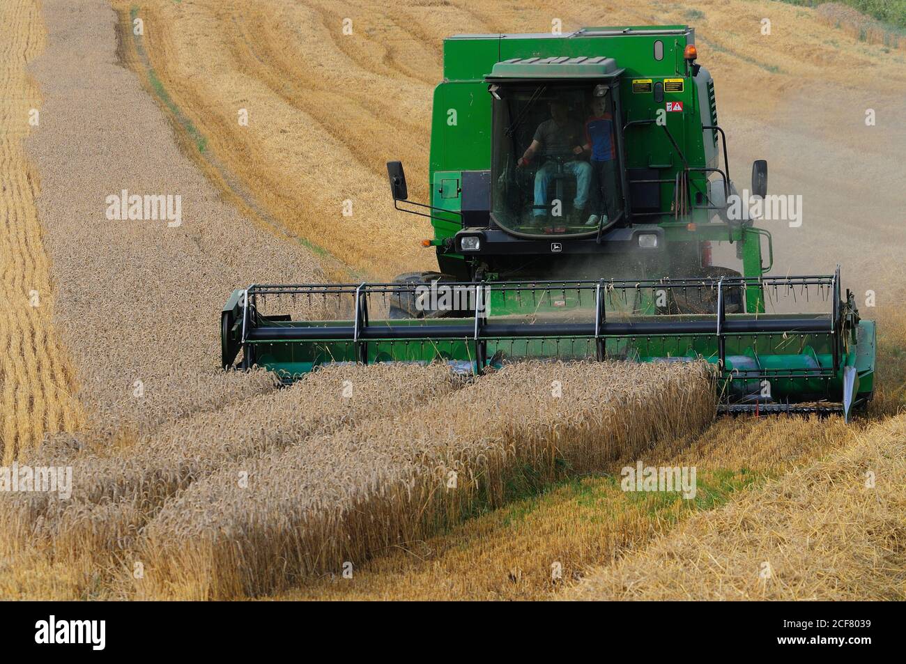 Mähdrescher Schneiden Weizenernte in der Nähe von Great Bedwyn, Wiltshire, England Stockfoto