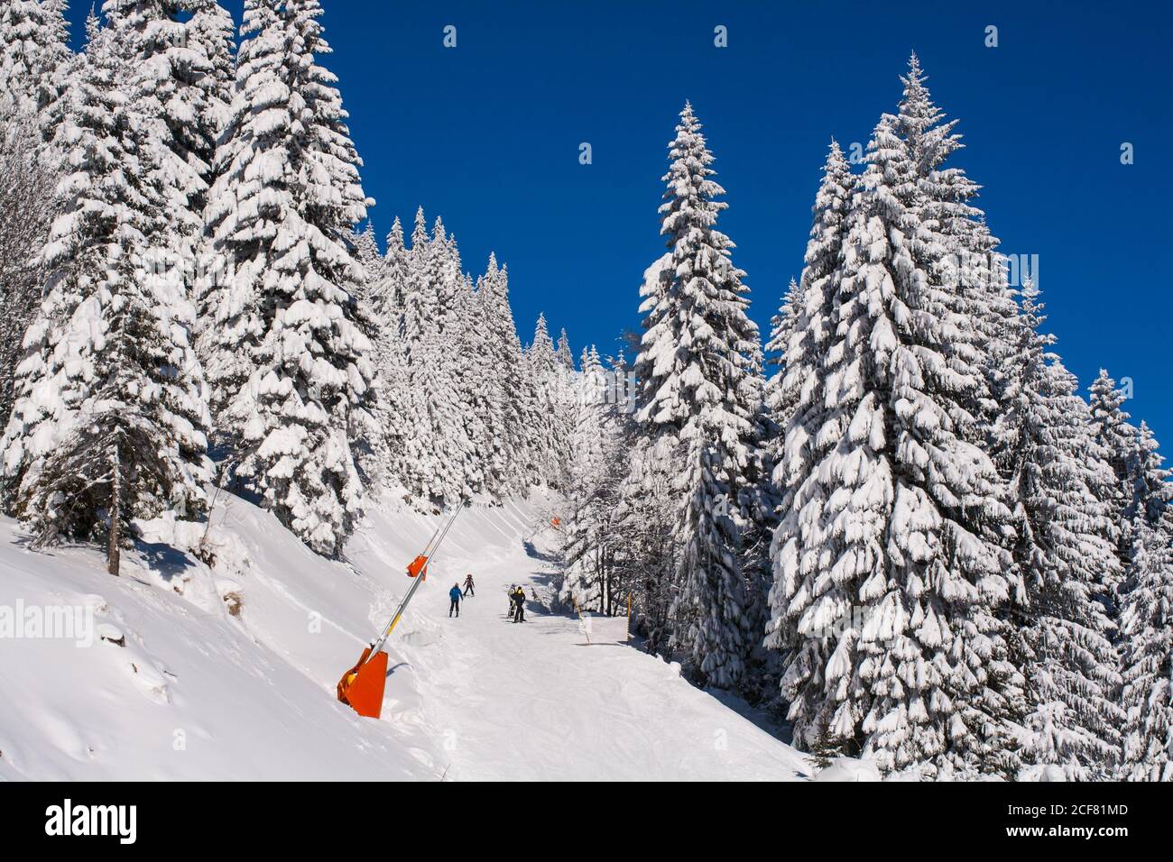 Panorama von Skigebiet, Skipiste, Menschen, Bergblick im Winter Stockfoto