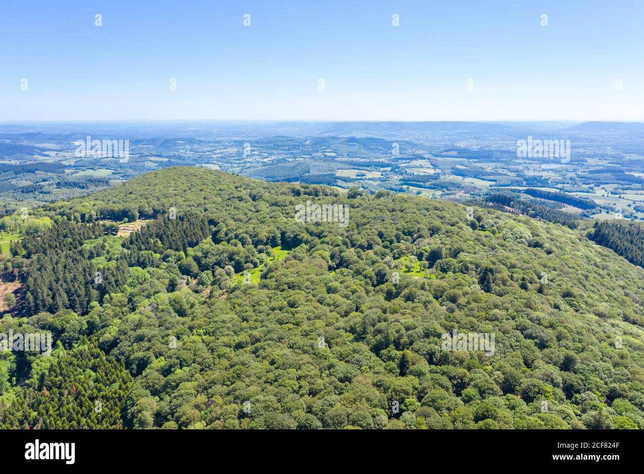 Frankreich, Saone et Loire, regionaler Naturpark von Morvan, Mont Beuvray, Saint Leger sous Beuvray, Bibracte oppidum auf dem Mont Beuvray, Waldmassiv ( Stockfoto