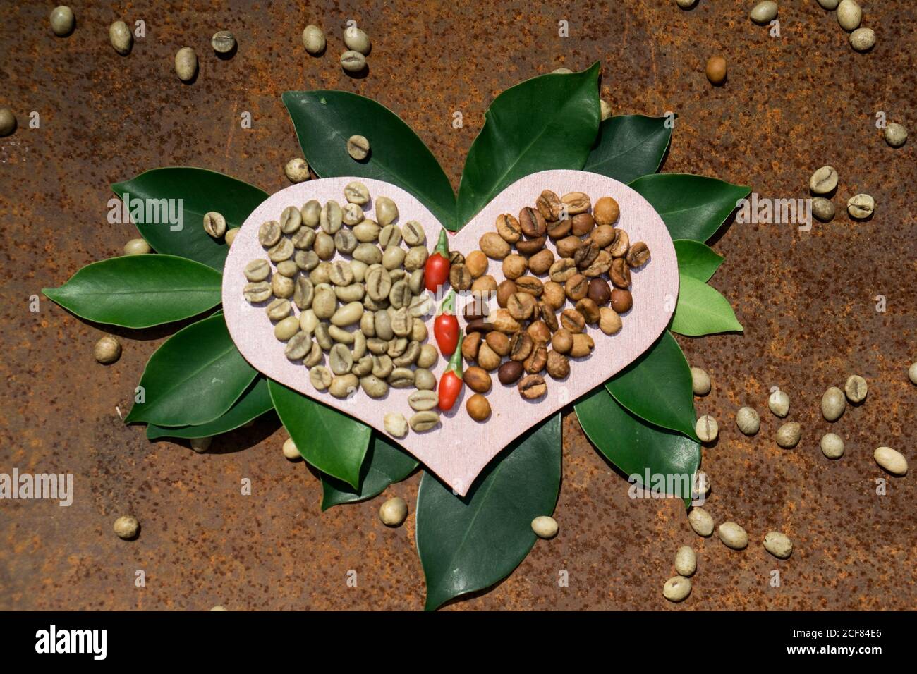 Flach legen mit Holz rosa Herz mit grün und Mitte Kaffeebohne auf grünem Blatt vor strukturiertem rustikalem Eisen Hintergrund Stockfoto