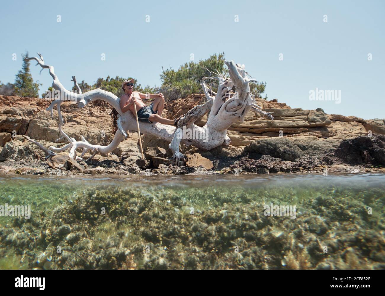 Gebräunter älterer Mann in Sonnenbrille und Hut, der Ruhe auf altem trockenen weißen Baum nimmt, der über klarem Wasser der Bucht, Chalkidiki, Griechenland hängt Stockfoto