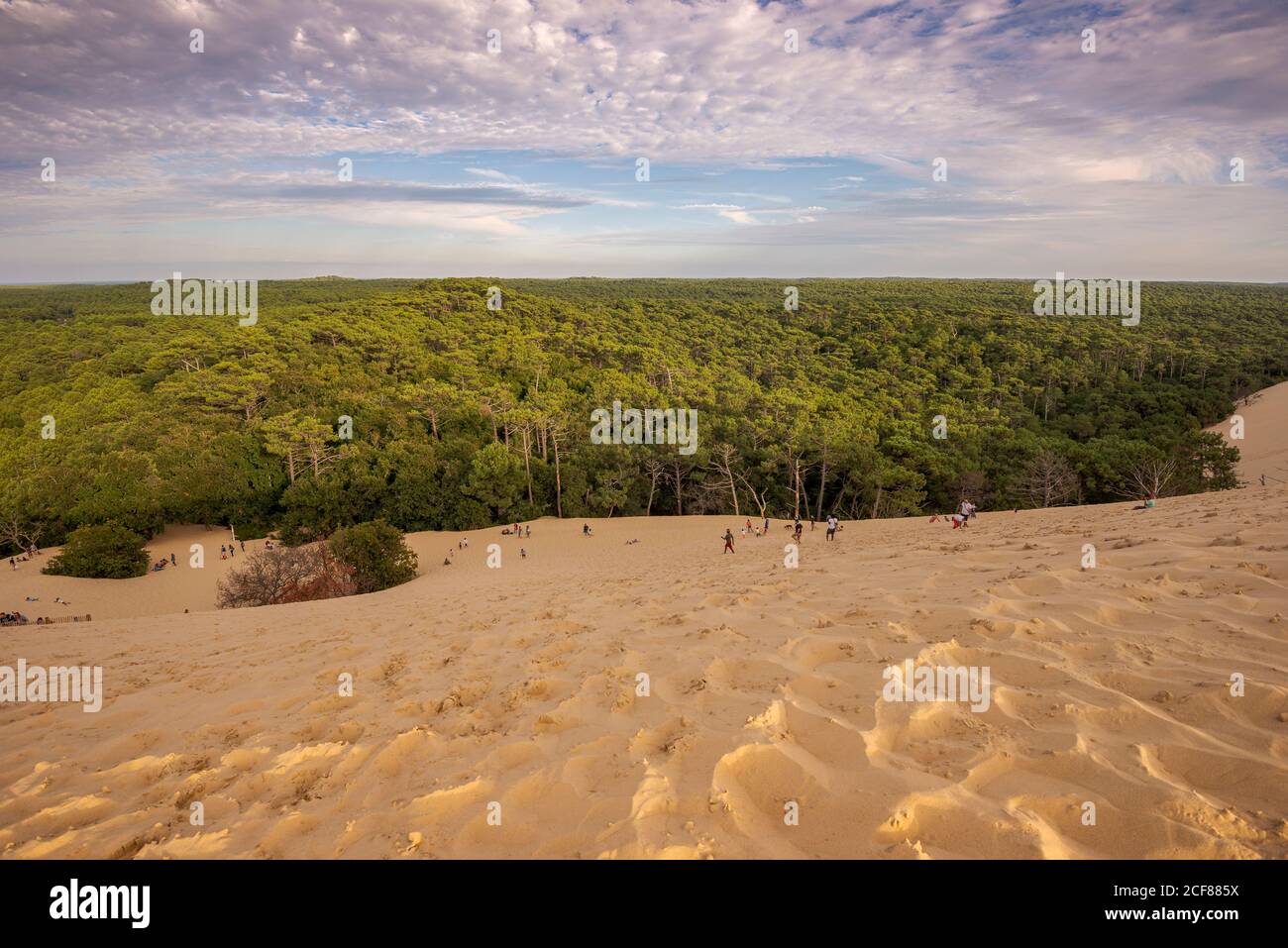 LA TESTE-DE-BUCH, FRANKREICH – 12. AUGUST 2017: Touristen klettern die Düne von Pilat, die höchste Sanddüne Europas Stockfoto