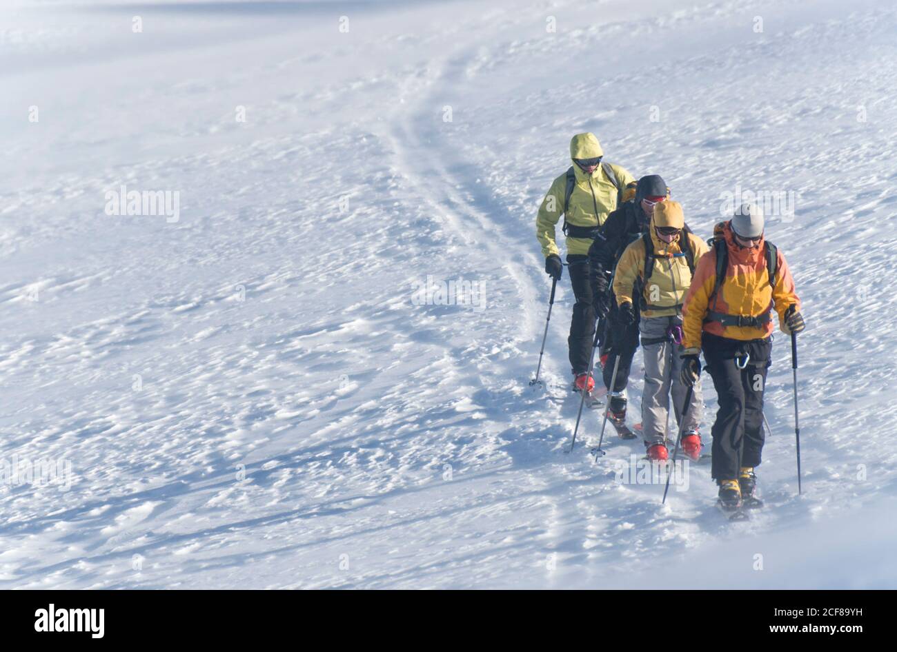 Alpinisten machen eine Tour mit Skiern auf Gletscher in der alpen Stockfoto