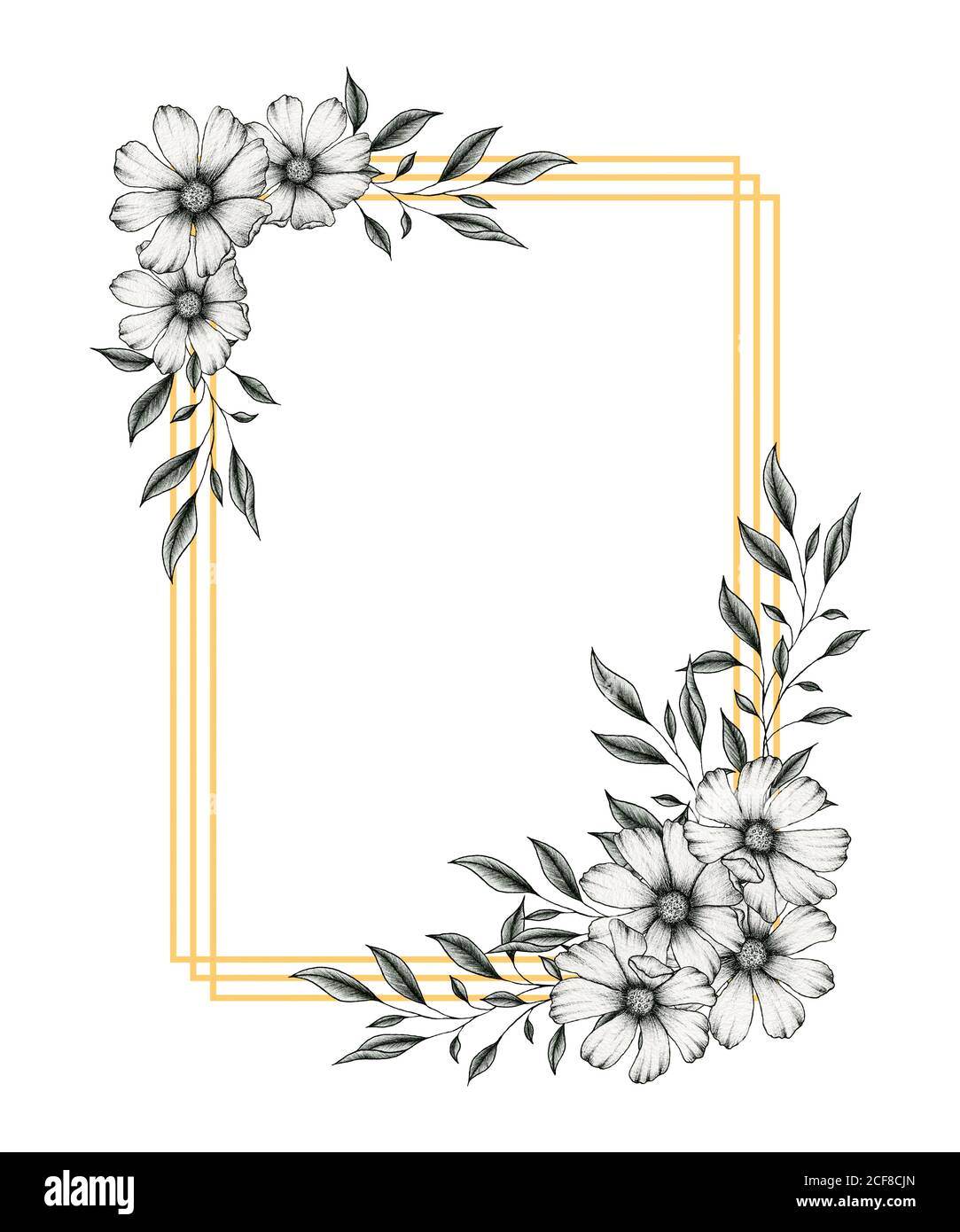 Vintage goldener Rahmen mit Kosmos Blumen und Blätter, elegante Grafik florale Illustration mit schwarz und weiß eingefärbt Kosmos Blumen und Blatt Zweige Stockfoto