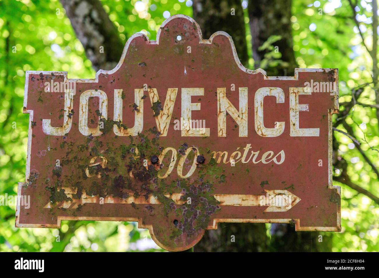 Frankreich, Cote d’Or, Regionales Naturreservat Val Suzon, ETAULES, Foret Domaniale de Val Suzon, Jouvence Park, Standort der Fontaine de Jouvence // Fran Stockfoto