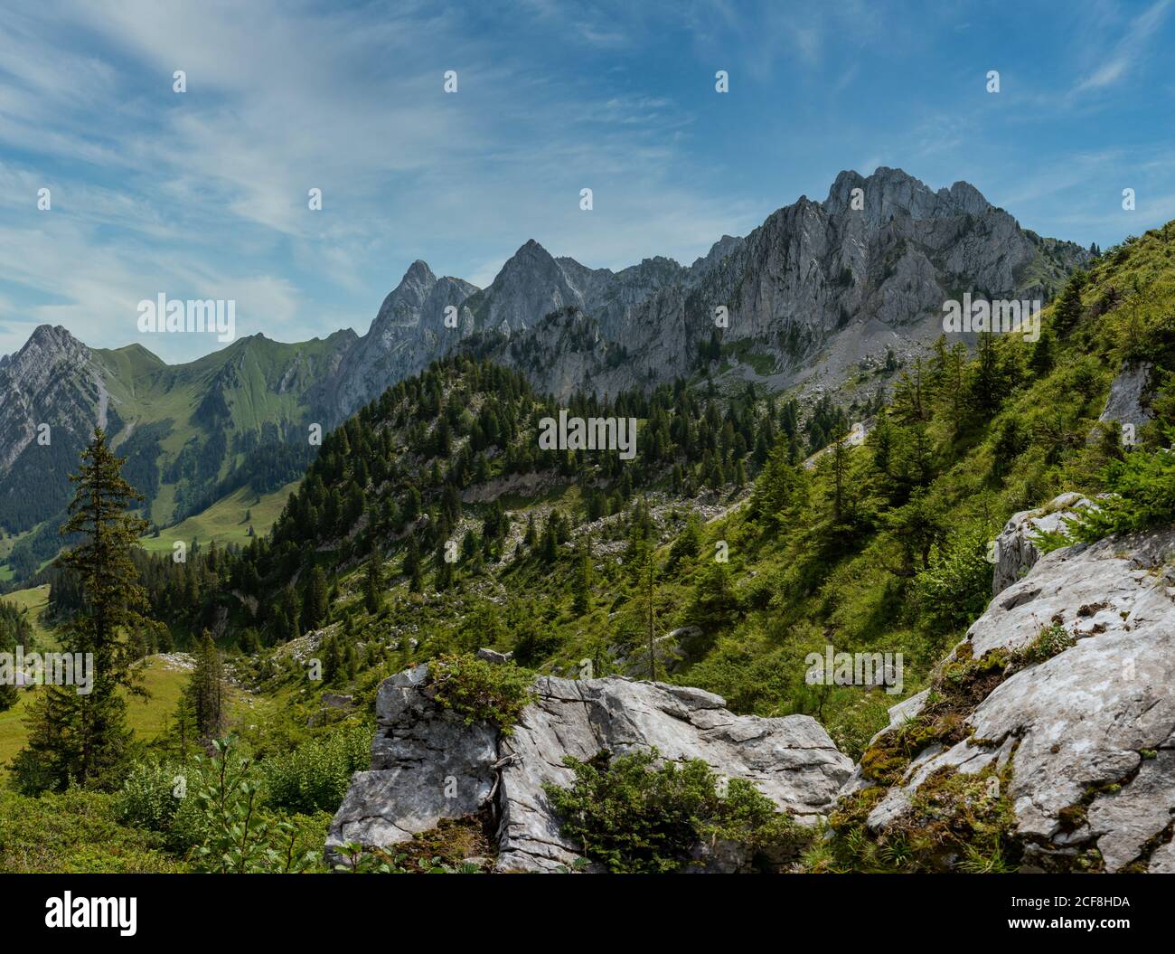 Gruyere Gebirge mit Blick auf den Kanton Waadt Bern, Schweiz Stockfoto