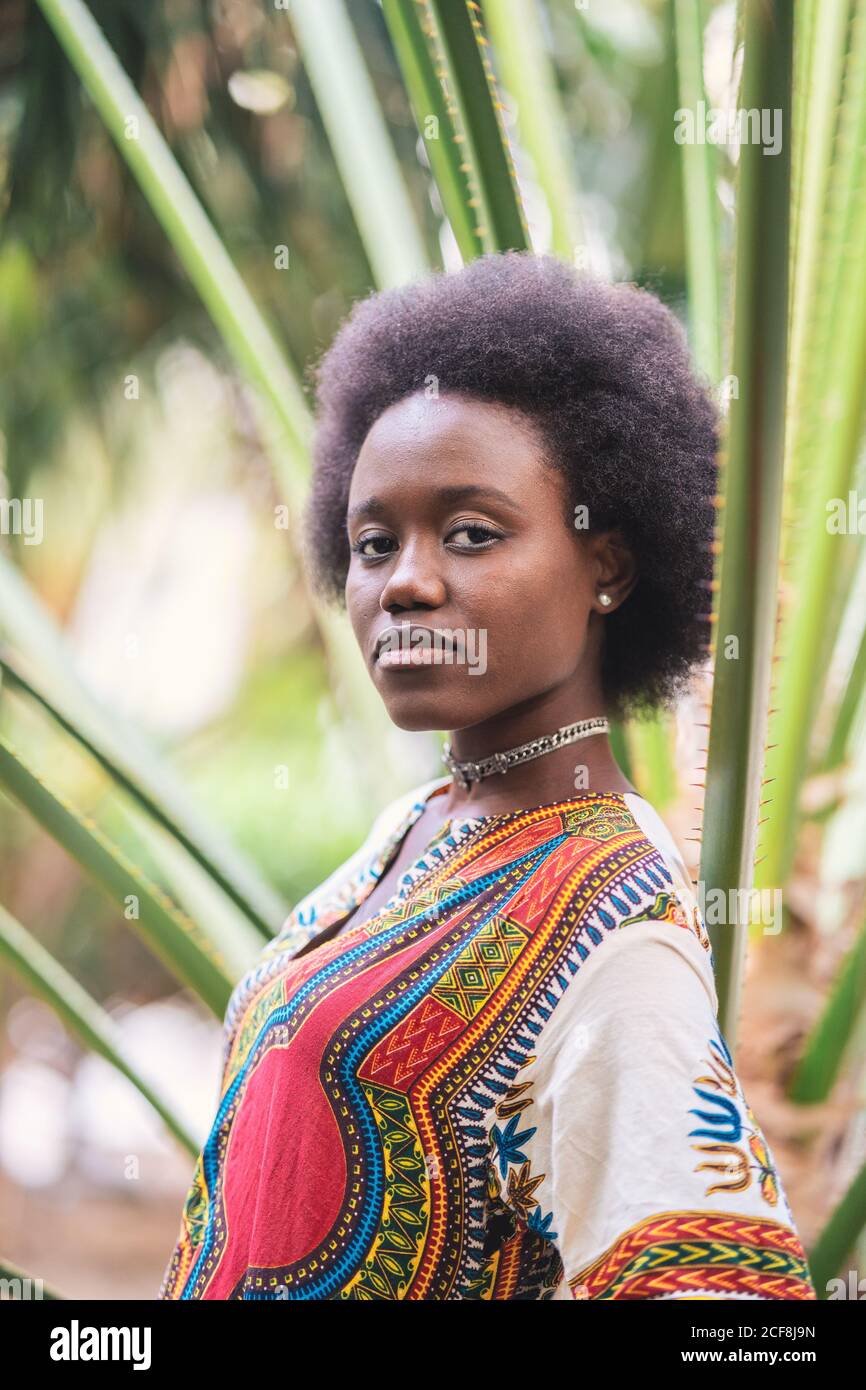 Fröhliche afrikanische Dame inmitten von Palmblättern Stockfoto