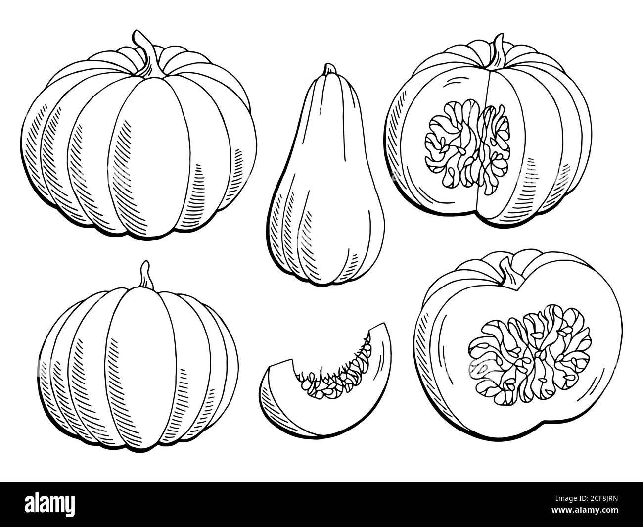 Kürbis Grafik schwarz weiß isoliert Skizze Illustration Vektor Stock Vektor