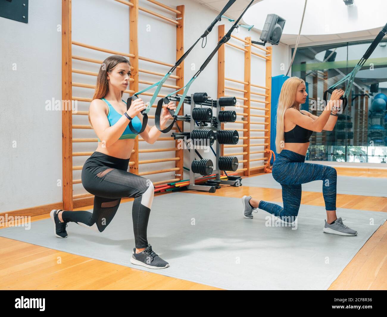 Seitenansicht der jungen selbstbewussten Frauen tun Kniebeugen, während mit Suspension Training mit Seilen in modernen Fitness-Studio und Blick auf Kamera Stockfoto