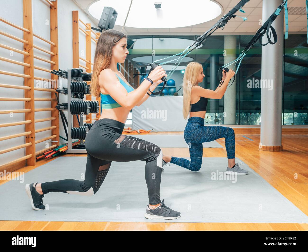 Seitenansicht der jungen selbstbewussten Frauen tun Kniebeugen, während mit Suspension Training mit Seilen in modernen Fitness-Studio und Blick auf Kamera Stockfoto