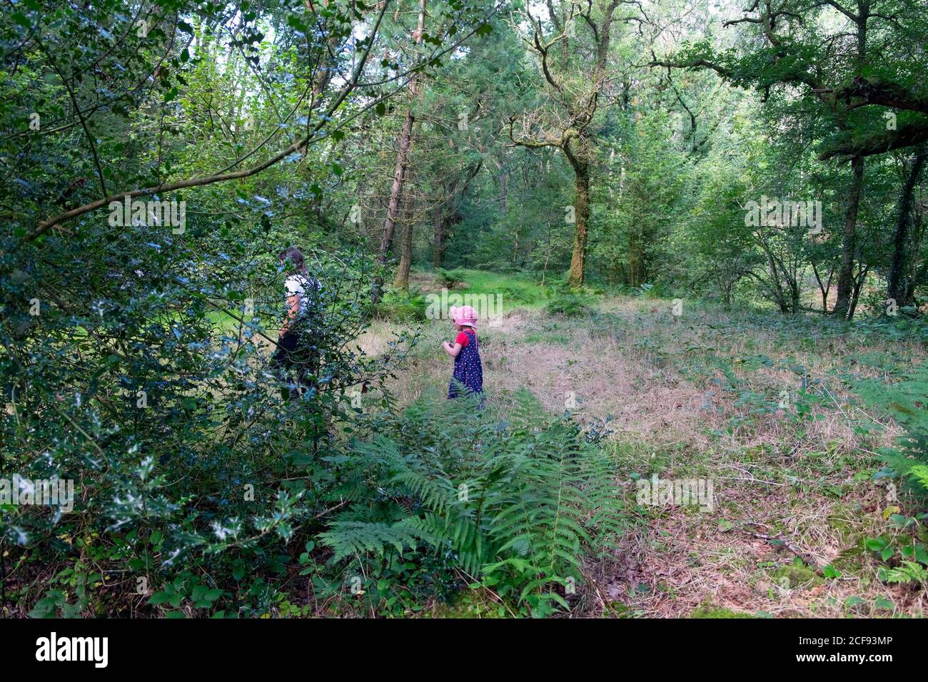 Frau und 3 Jahre altes Kind Mädchen zu Fuß in einem Wald im Urlaub im Sommer im Urlaub in Carmarthenshire Wales UK KATHY DEWITT Stockfoto