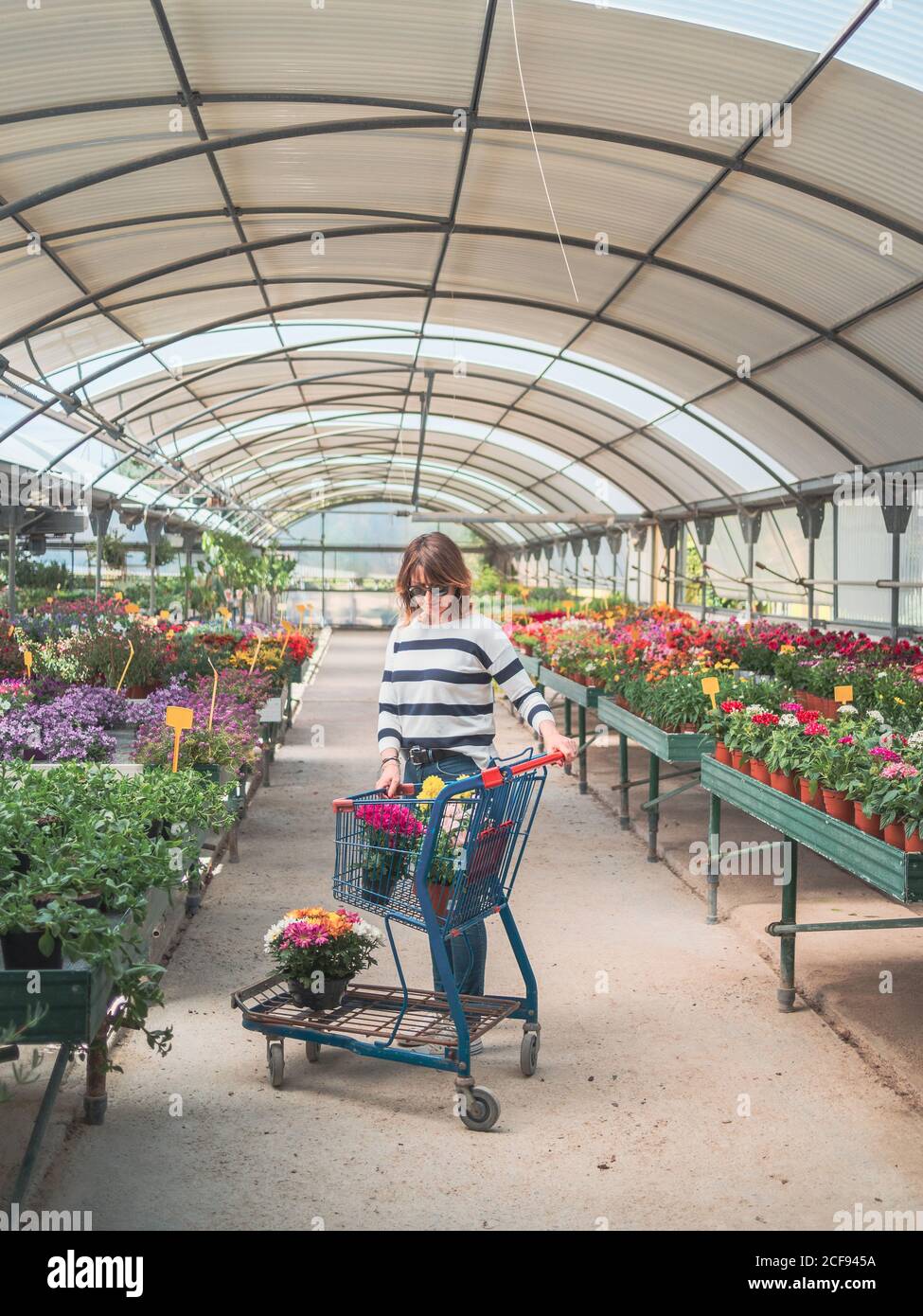 Weibliche Kundin mit Wagen auf Blumenmarkt Stockfoto