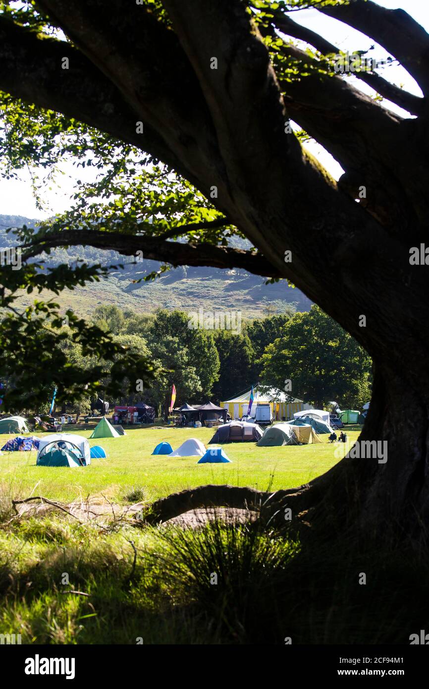 Campingplatz bei We sind kein Festival sozial distanziert Veranstaltung In Pippingford Park - Camping mit Festivalstimmung Stockfoto