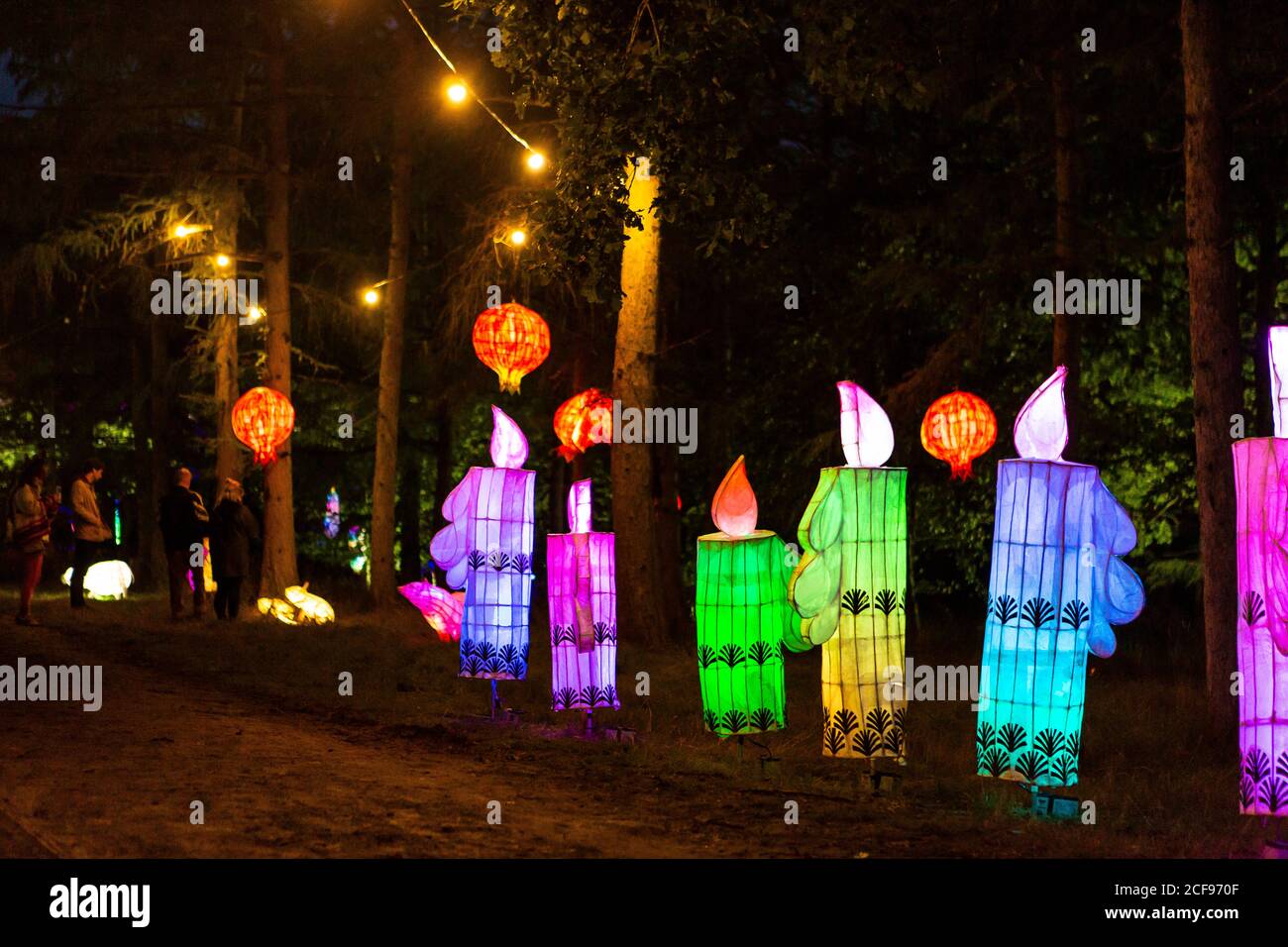 Woodland Illuminations at We are not a Festival sozial distanziert Event in Pippingford Park - Camping mit Festivalstimmung Stockfoto