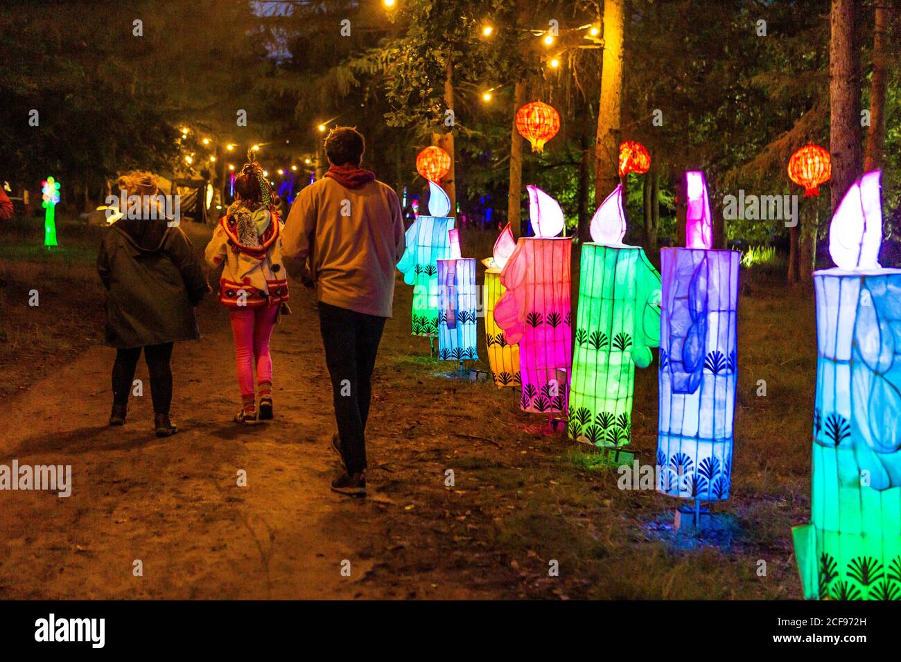 Woodland Illuminations at We are not a Festival sozial distanziert Event in Pippingford Park - Camping mit Festivalstimmung Stockfoto