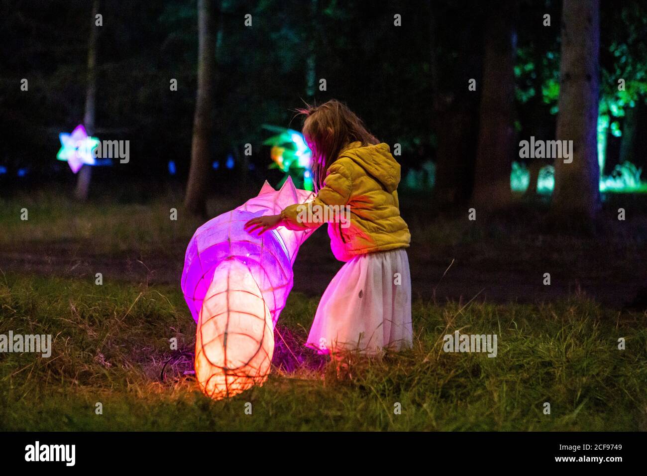 Woodland Illuminations at We are not a Festival sozial distanziert Event in Pippingford Park - Camping mit Festivalstimmung Stockfoto