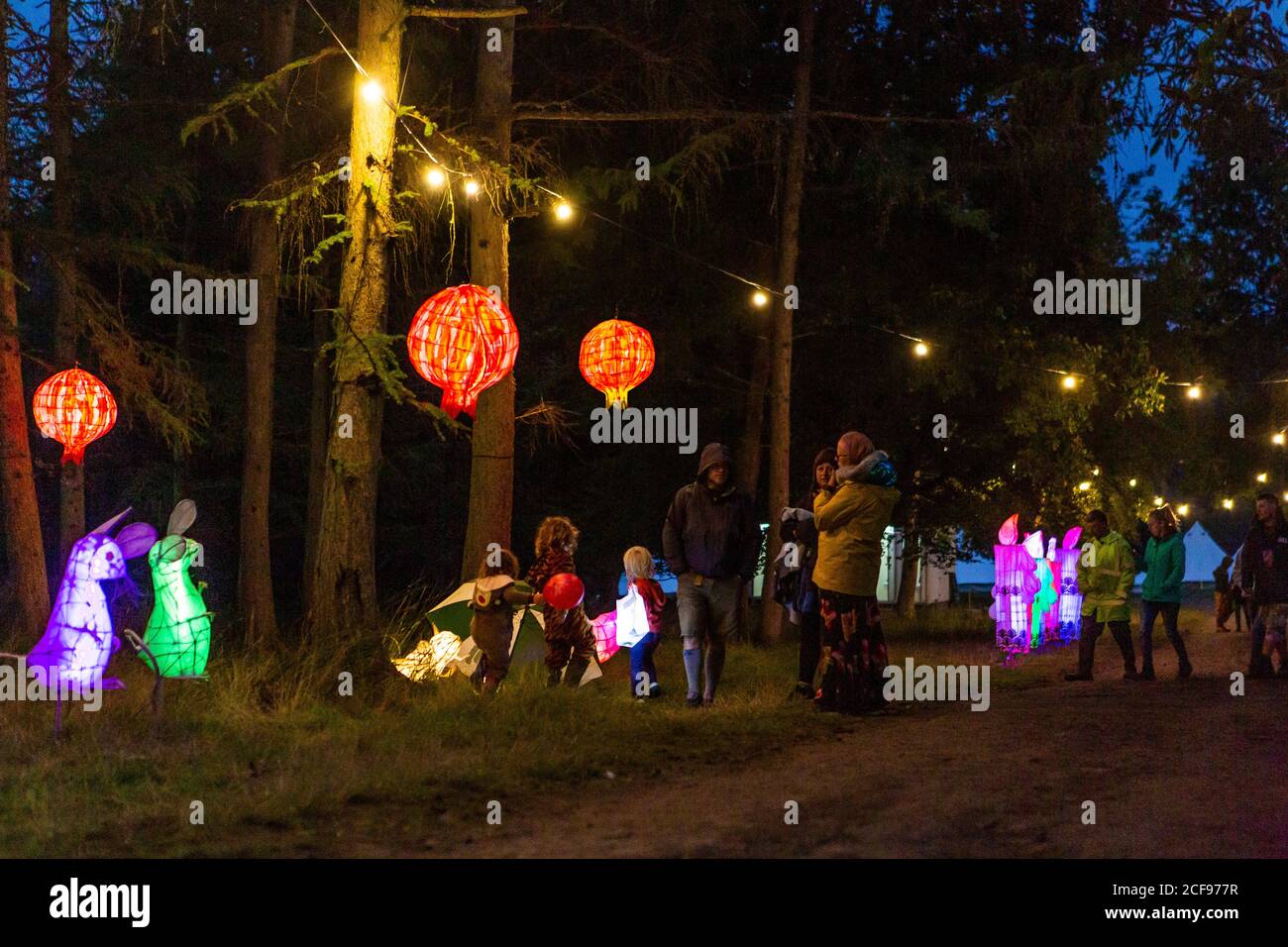 Woodland Illuminations at We are not a Festival sozial distanziert Event in Pippingford Park - Camping mit Festivalstimmung Stockfoto