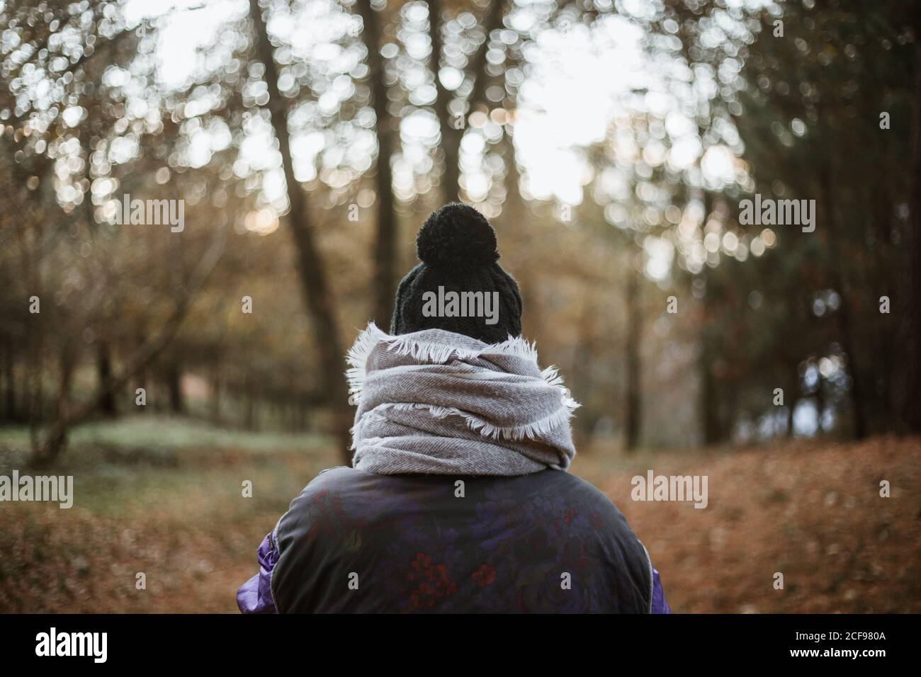 Rückansicht der gesichtslosen Person in schwarzer und violetter Jacke Und warmen Hut in Zusammensetzung mit grauen Schal allein zu Fuß Entlang Fußweg gegen verschwommene Landschaft des Herbstparks bei Tag Stockfoto