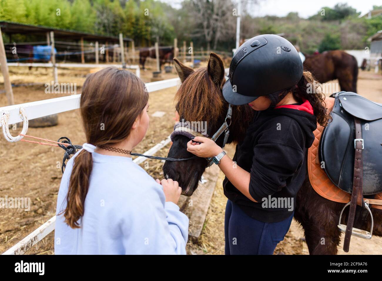 Teen Mädchen kommunizieren mit braunem Pferd, während in der Nähe von Paddock stehen Zaun während des Unterrichts in der Reitschule Stockfoto