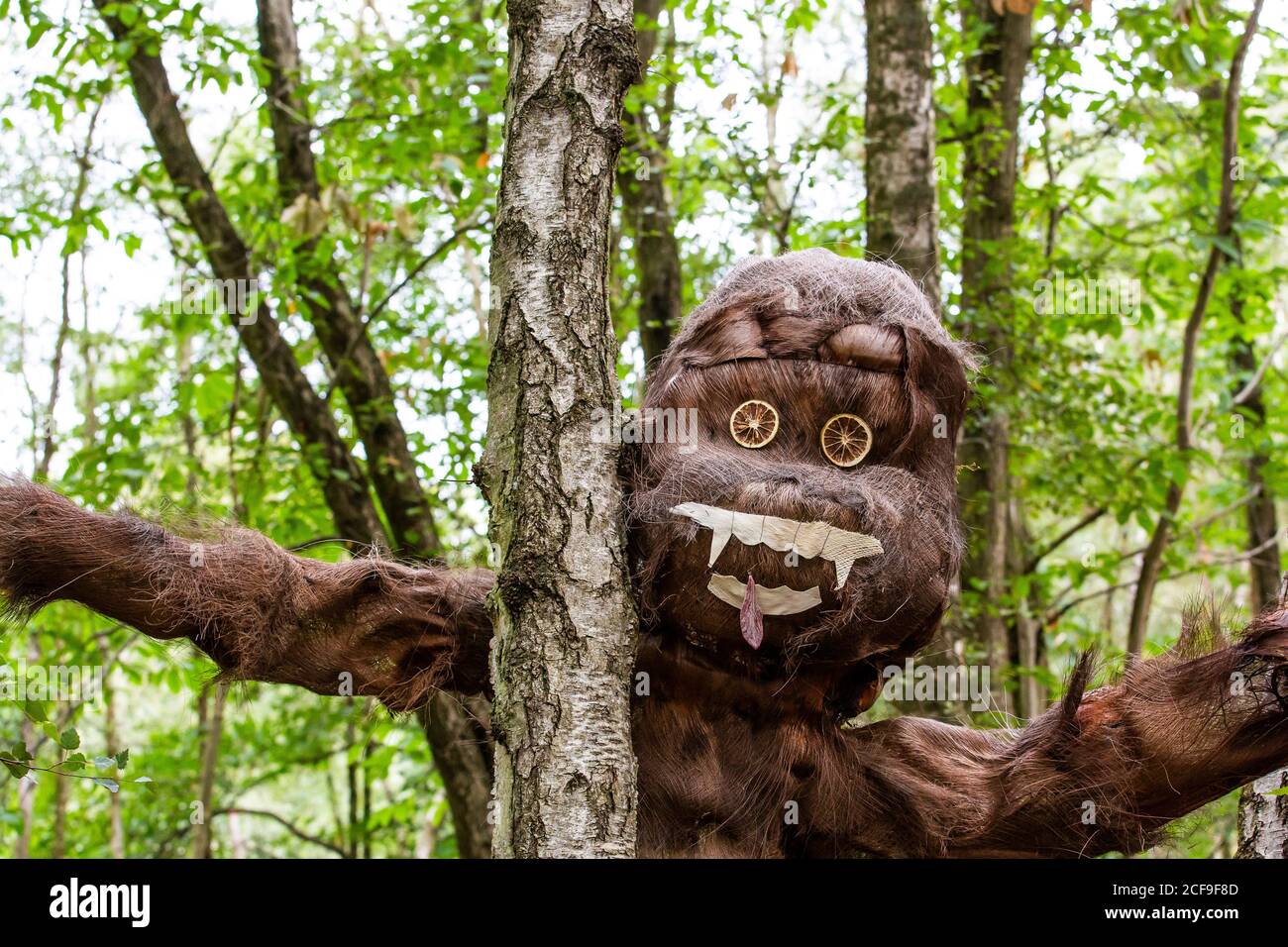 Affen machen kreative Natur Kunst Workshop bei Wir sind nicht Ein Festival sozial distanzierte Veranstaltung in Pippingford Park - Camping Mit Festivalatmosphäre Stockfoto