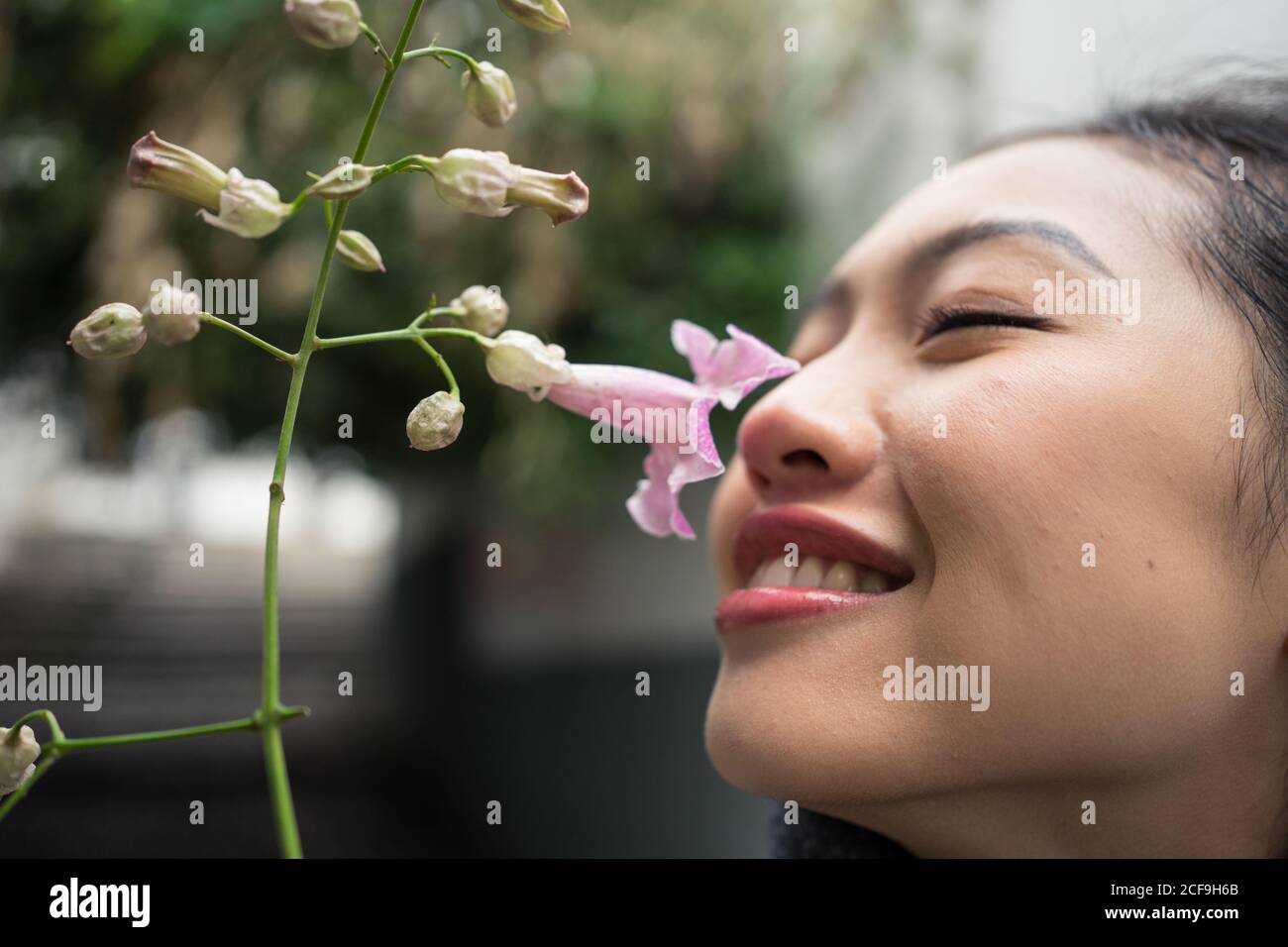 Charmante asiatische Frau im Urlaub schnüffeln Blume in der Stadt Straße Stockfoto