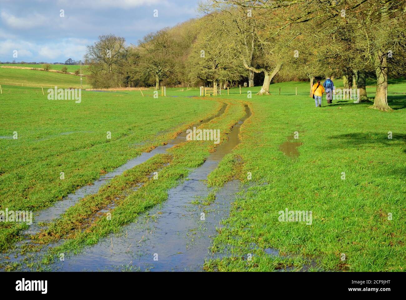 Ein Paar, das bei Hochwasser in Richtung der offiziellen Quelle der Themse läuft. Dies ist auch der Anfang oder das Ende des Thames Path. Stockfoto