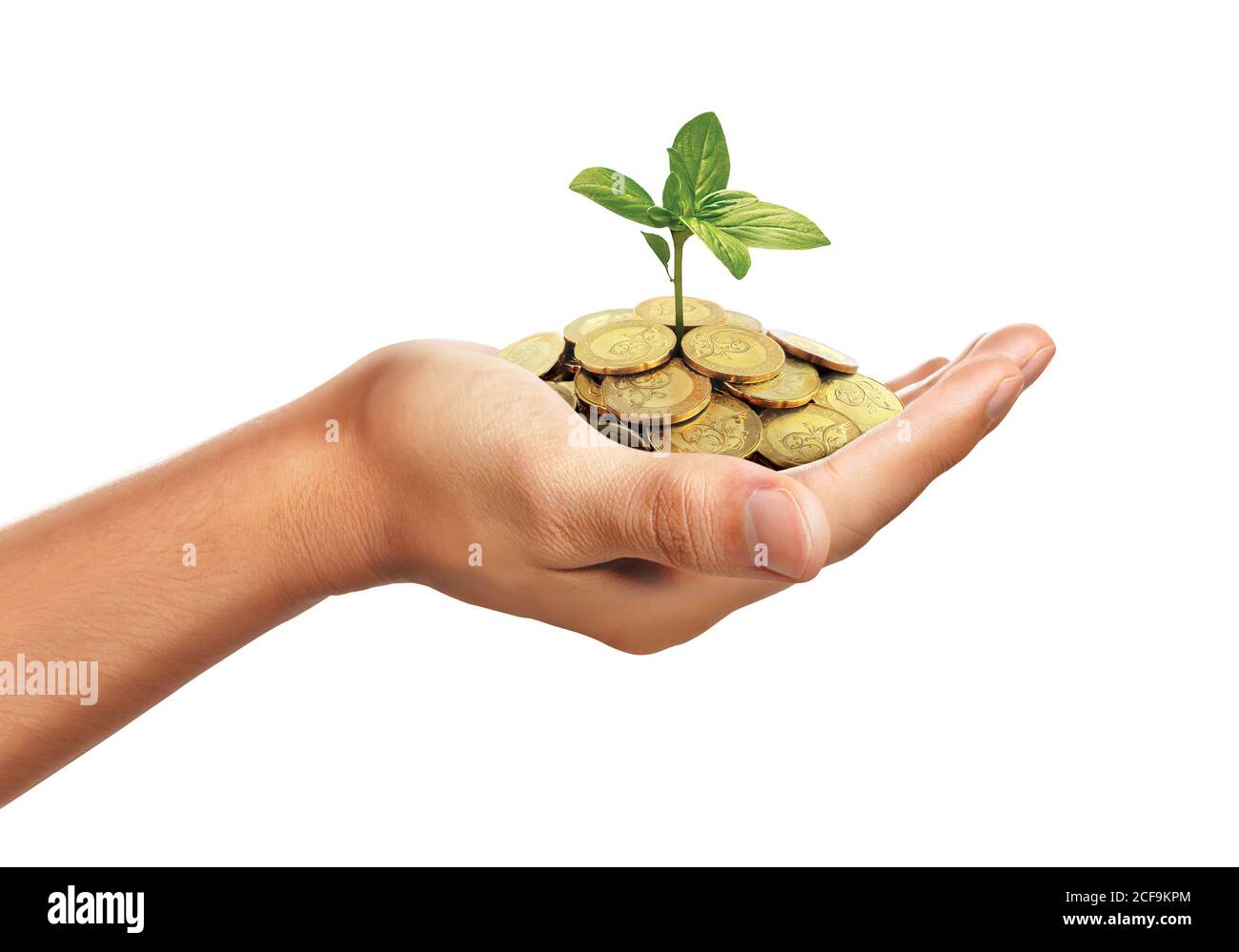 Hand hält Stapel von goldenen Münzen mit kleinen Pflanzen wachsen Stockfoto