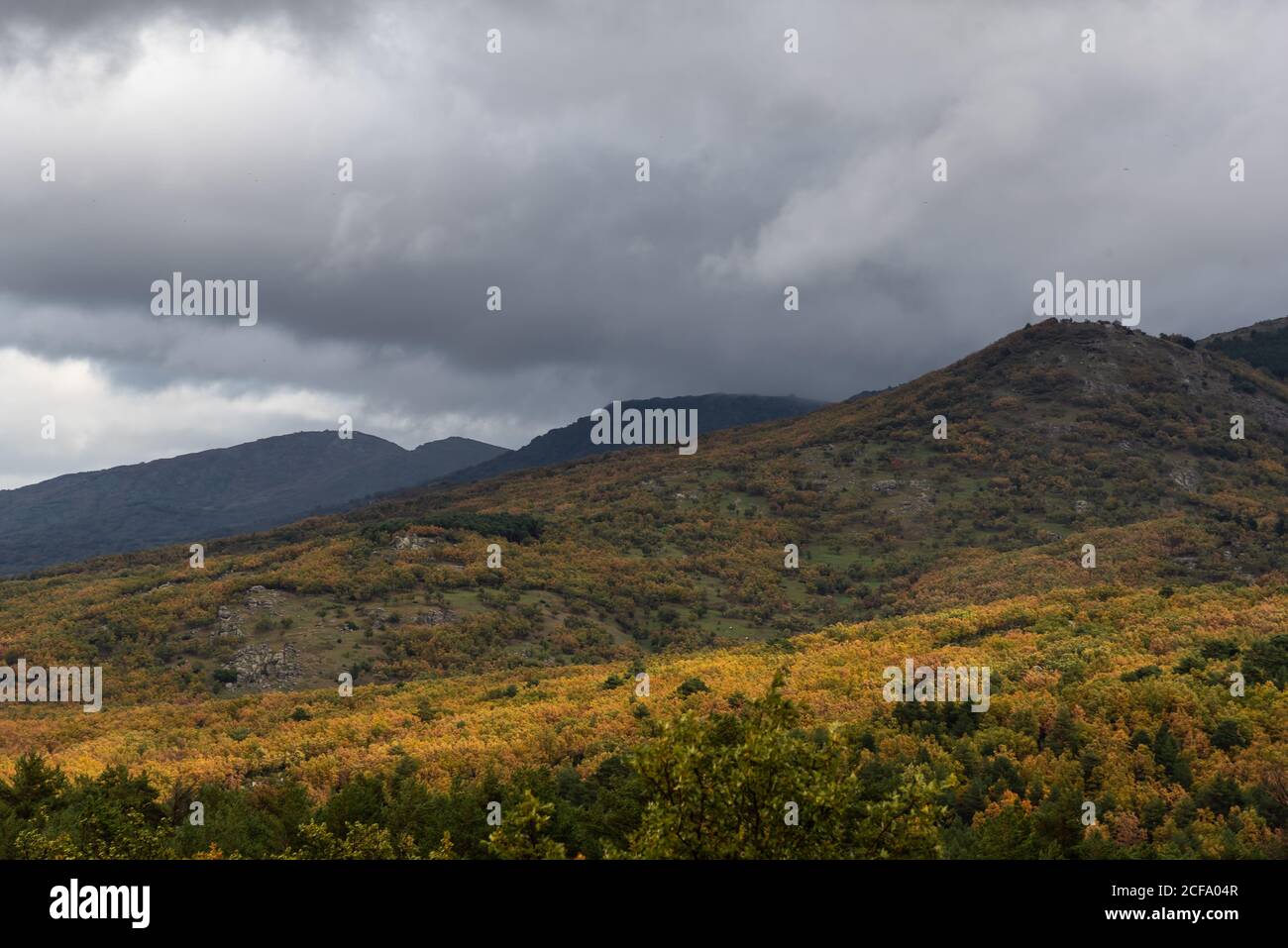 Ruhiges Tal mit bewaldeten Bergen unter wolkig grauem Himmel in Herbstzeit Stockfoto