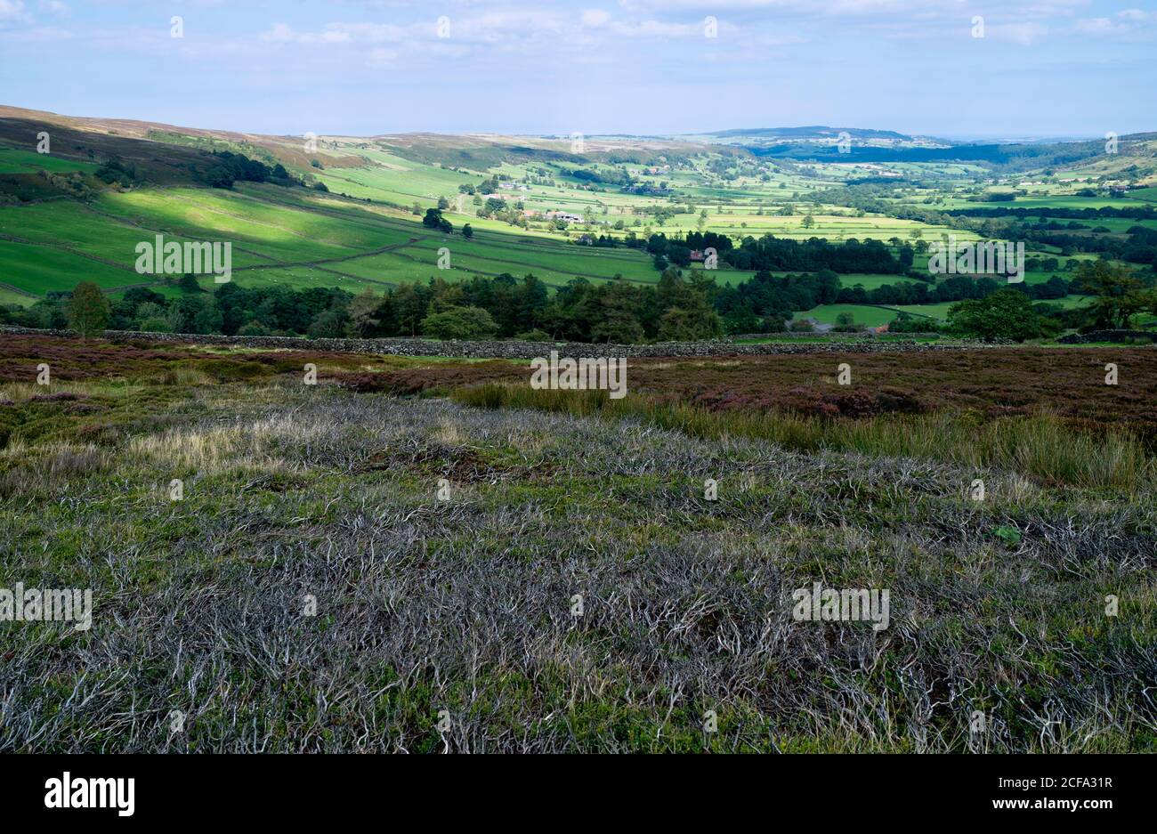 Heidekraut Moorland sowohl verbrannt und in Blüte über die Nroth York Moors und das Tal unter blauem Himmel mit Wolken im Sommer in Glaisdale, Yorkshire, Großbritannien. Stockfoto