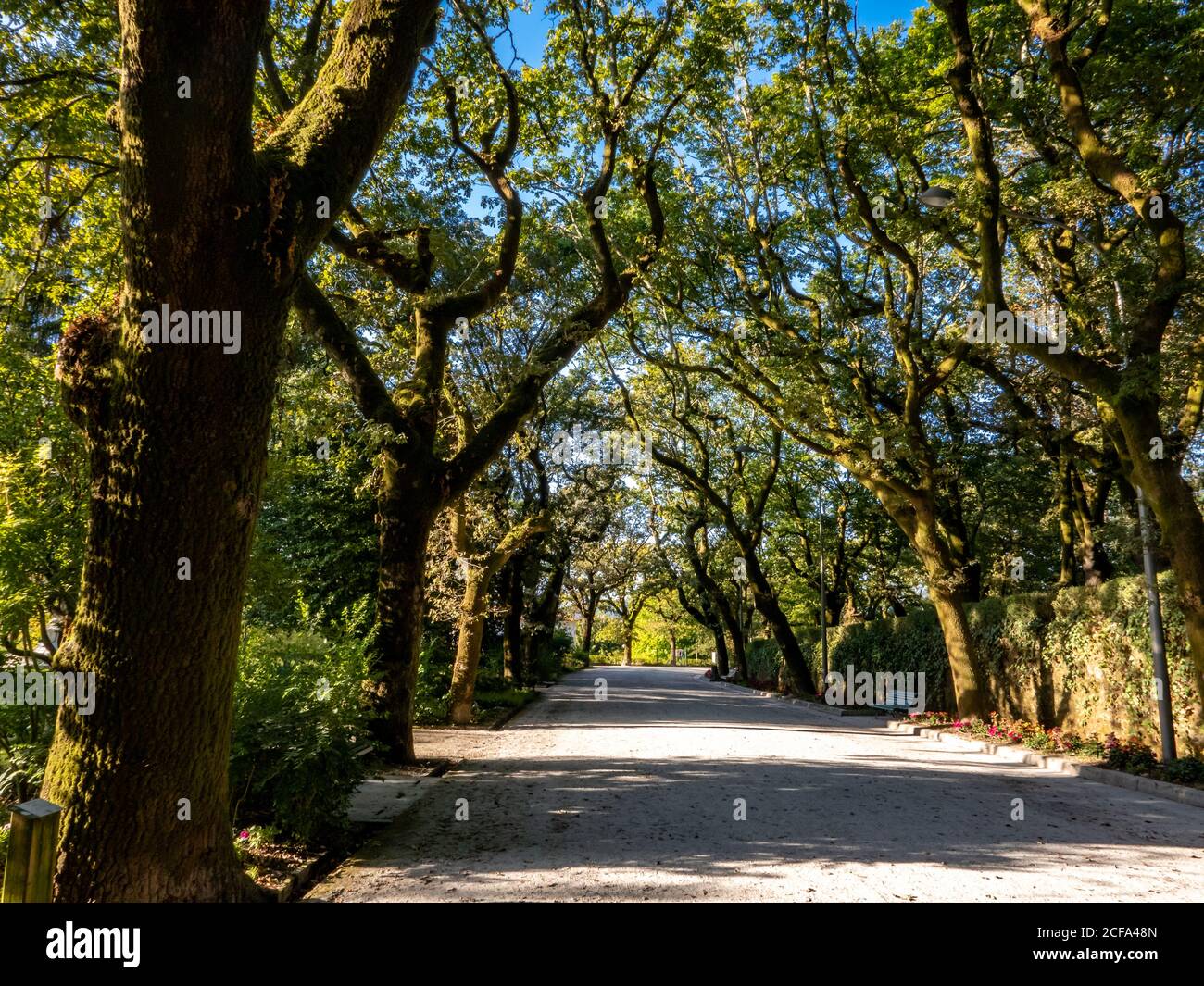 Ein Pfad im Park der Alameda in Santiago de compostela. Stockfoto