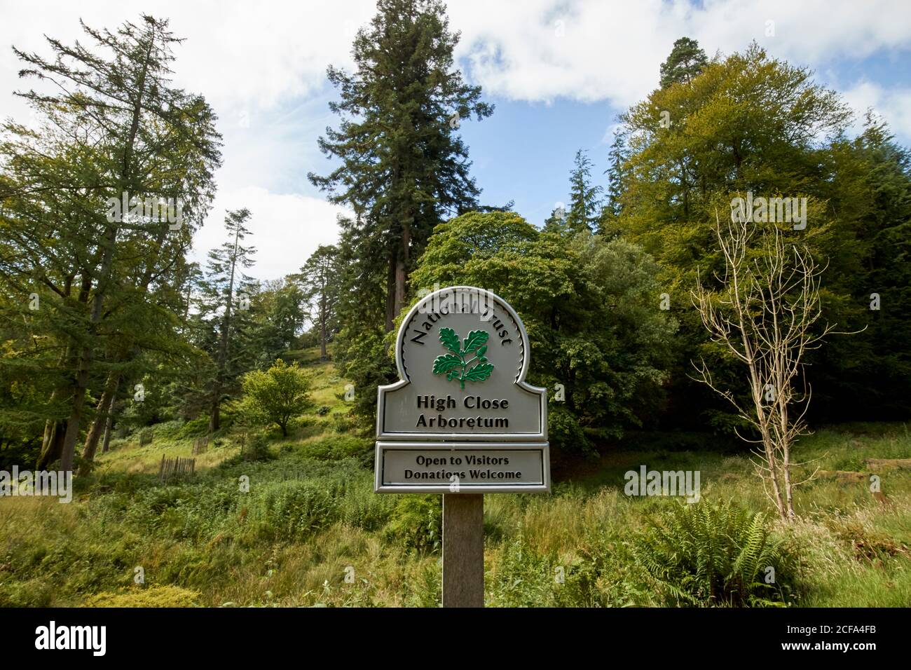 National Trust hoch in der Nähe arboretum loughrigg Lake District Nationalpark cumbria england großbritannien Stockfoto