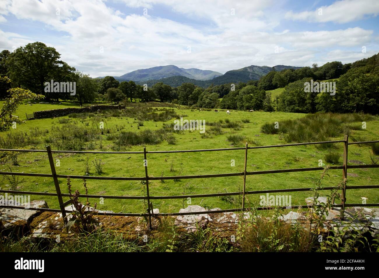 Metallzaun und Blick auf langdale Hechte von rechts Der Weg durch ländliche Bauern Felder loughrigg See Bezirk national park cumbria england großbritannien Stockfoto