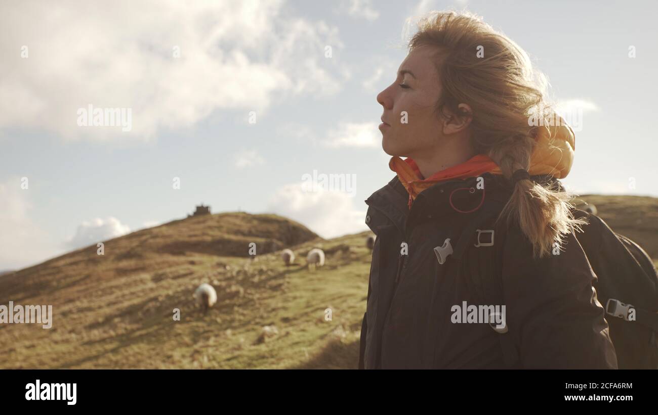 Unbeschwerte Frau, die eine wunderschöne Naturlandschaft und das Meer genießt, während sie auf einer Klippe in Irland in der Nähe einer Schafherde auf einer Wiese mit geschlossenen Augen steht Stockfoto