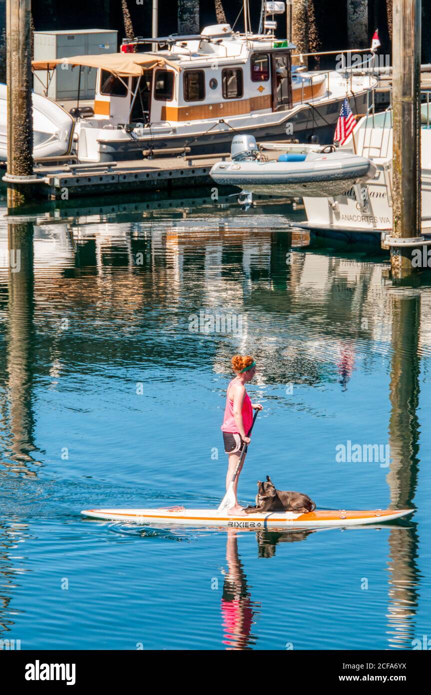 Ein Mädchen paddelt mit ihrem Hund im Hafen von Seattle. Stockfoto