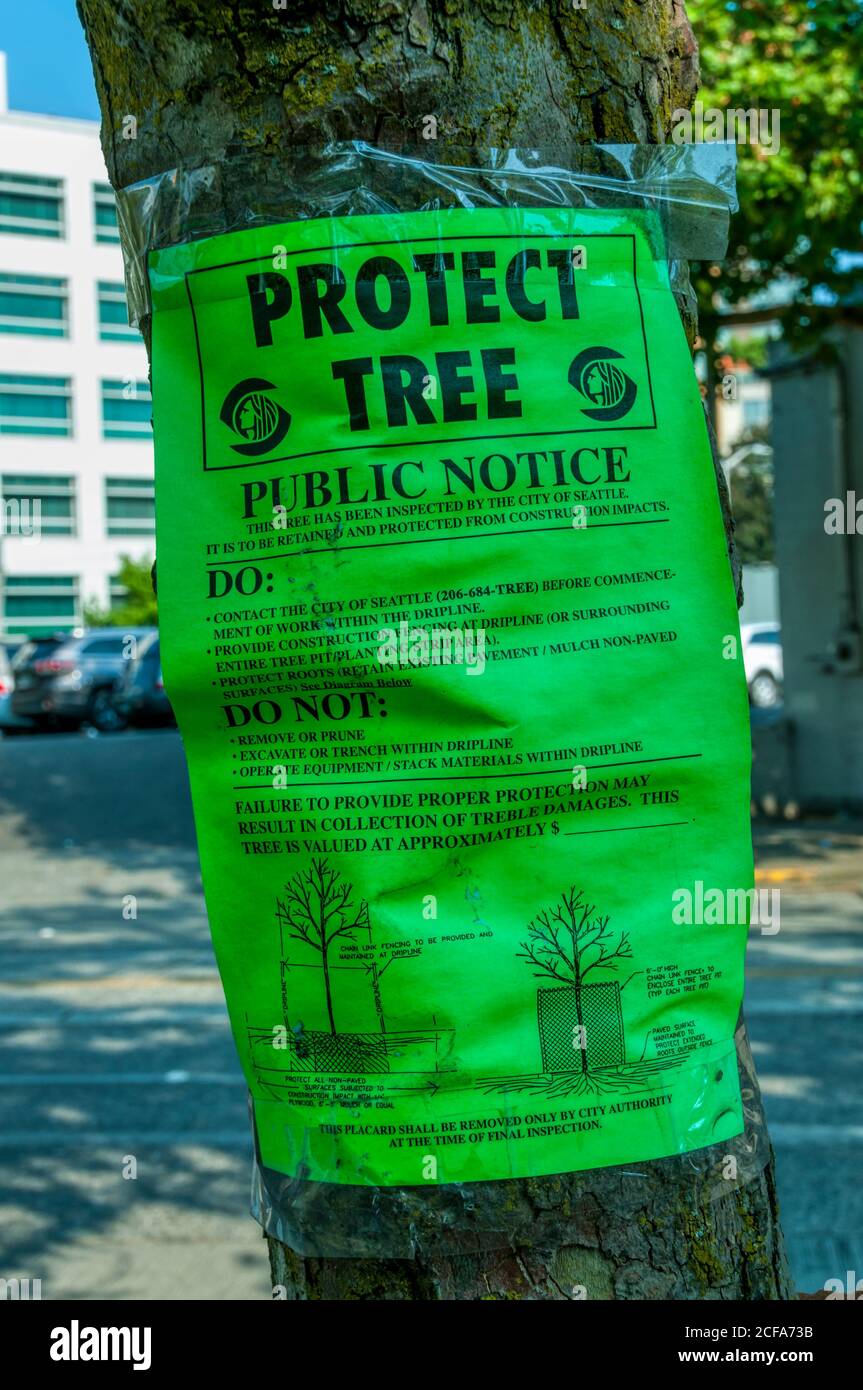 Ein Schild auf einem Baum, der vor Bauarbeiten in Seattle, USA, geschützt ist. Stockfoto