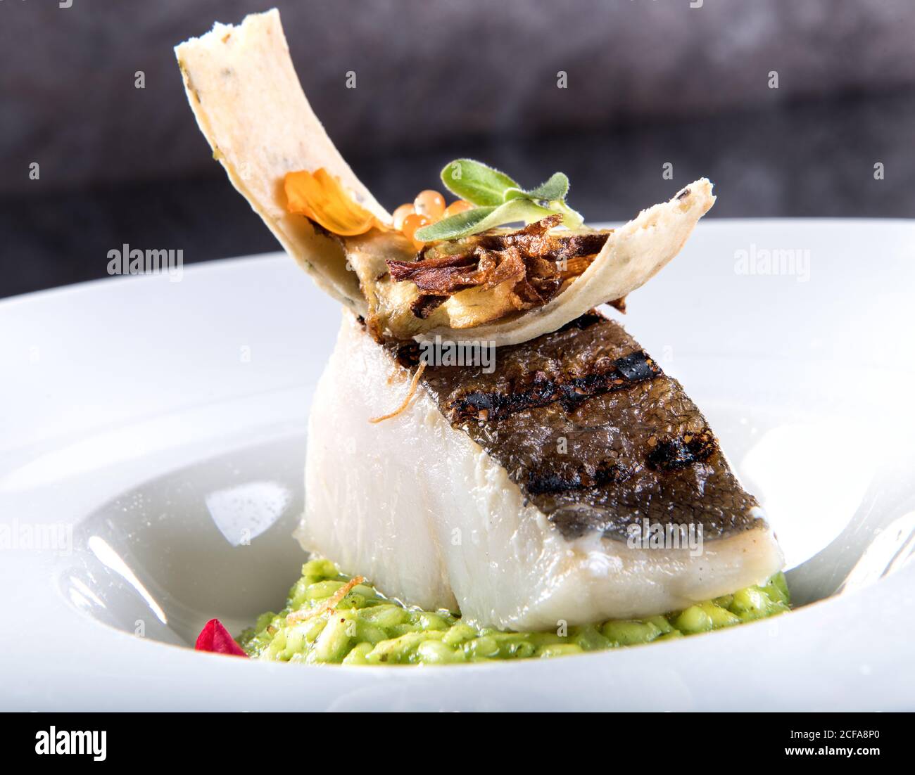 Nahaufnahme von servierten zartem Kabeljau-Filet mit knuspriger Chip und Microgreens auf Püree Stockfoto