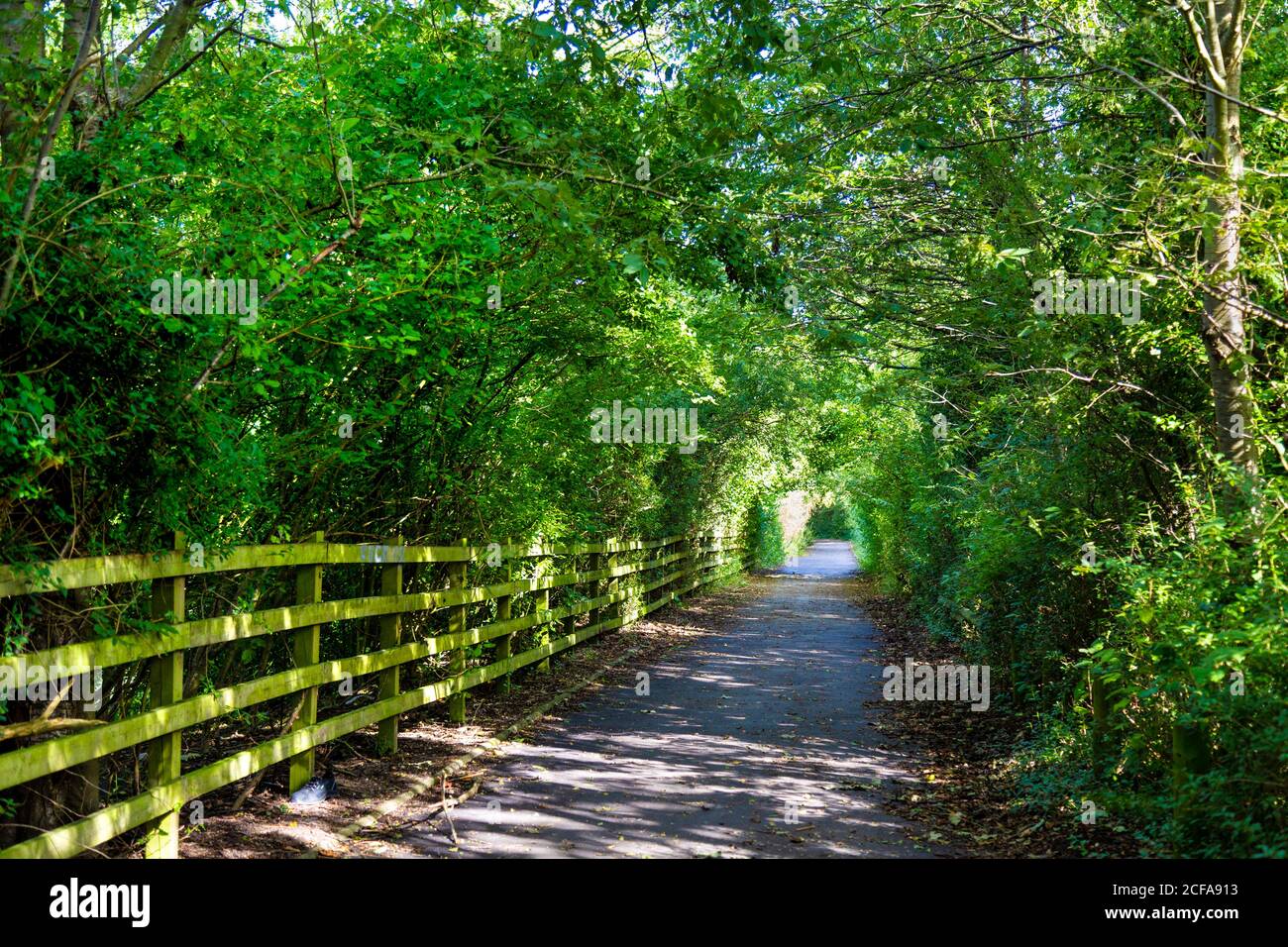 Wandern und National Cycling Network Route C12 zwischen Baldock und Letchworth, Hertfordshire, Großbritannien Stockfoto