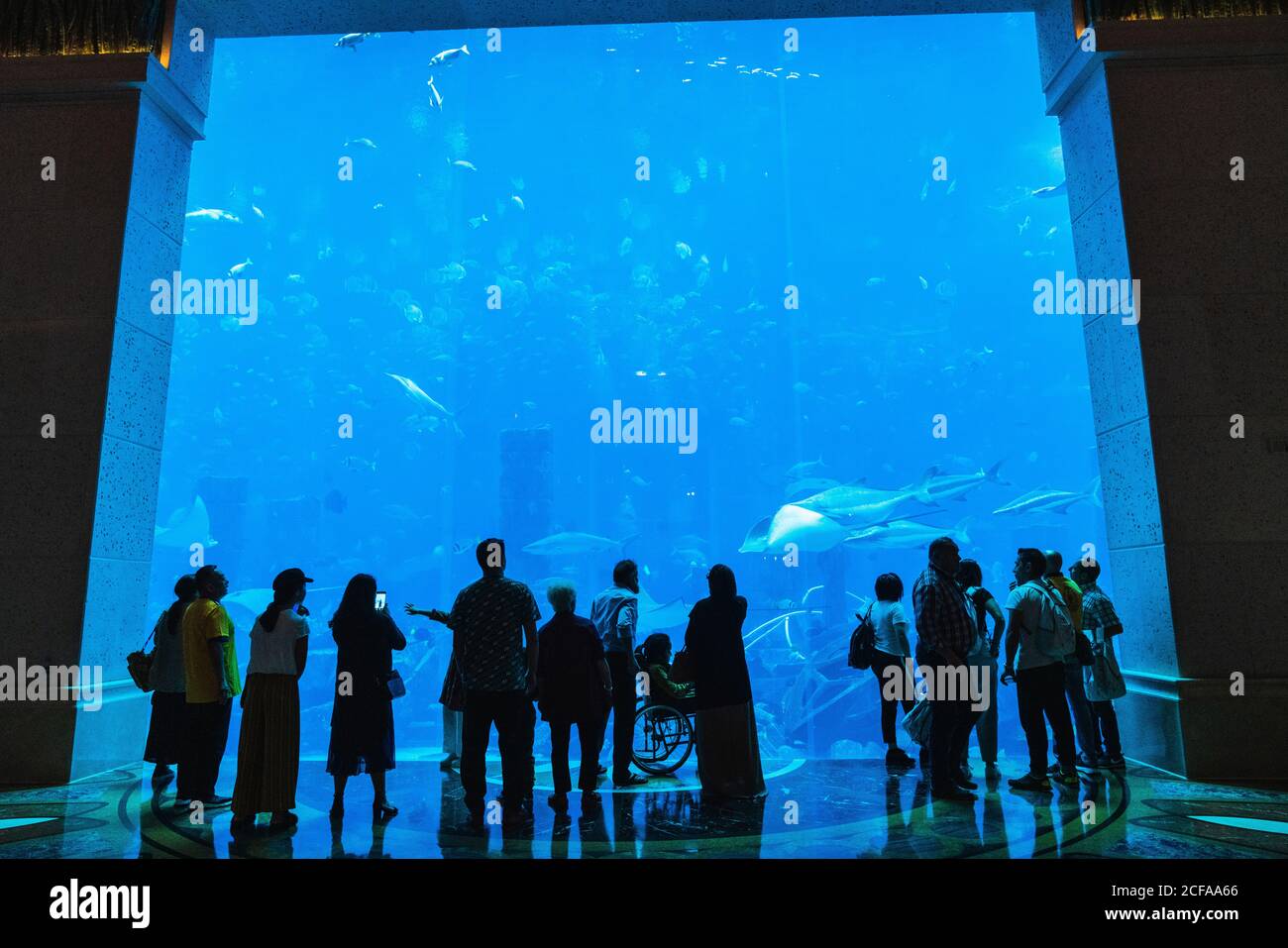 Gruppe der anonymen Leute an exotische Fische in großen Aquarium suchen in Dubai Stockfoto