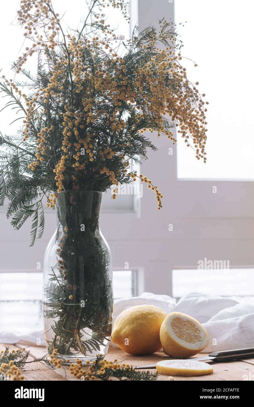 Gelbe Mimosen Blumen in Vase auf Tisch Stockfoto